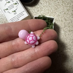 Lizi added a photo of their purchase
