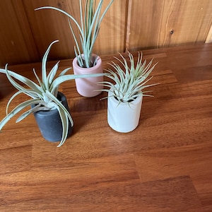 Erica added a photo of their purchase