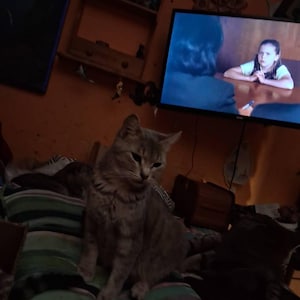 DON added a photo of their purchase