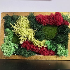 K added a photo of their purchase