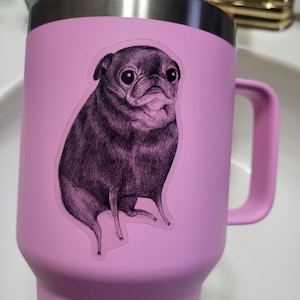 Frances a ajouté une photo de son achat