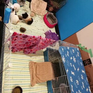 Susan added a photo of their purchase