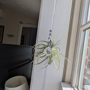 Larisa added a photo of their purchase