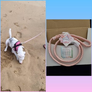 Alicia added a photo of their purchase
