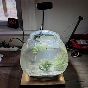 Deb added a photo of their purchase