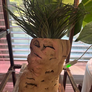 Lynn added a photo of their purchase