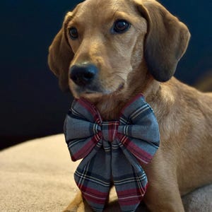 jana さんが購入した商品の写真を追加しました