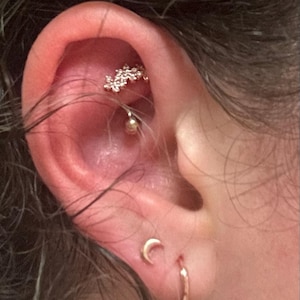 Lex added a photo of their purchase