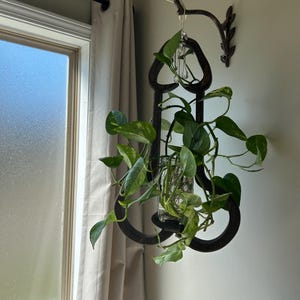 Morgan added a photo of their purchase