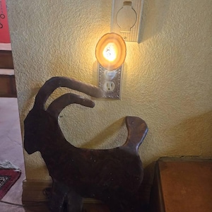 Marla added a photo of their purchase