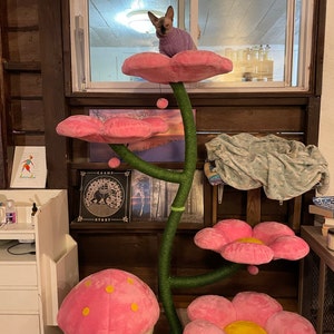 Erica added a photo of their purchase