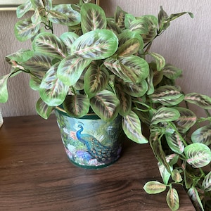 Julie added a photo of their purchase