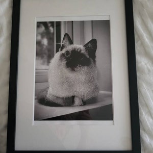 Jacqueline added a photo of their purchase