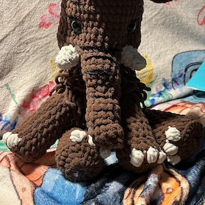 Karen added a photo of their purchase