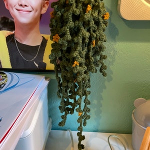 Daisy added a photo of their purchase