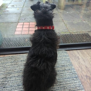Barbara added a photo of their purchase
