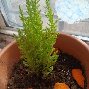 Maria added a photo of their purchase