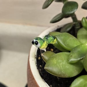 Stephanie added a photo of their purchase