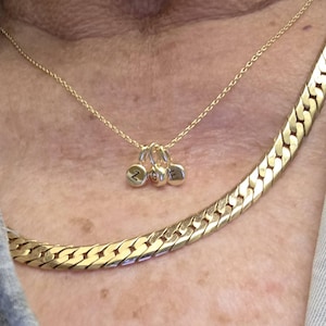 Diane added a photo of their purchase