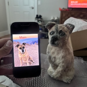 Tab added a photo of their purchase