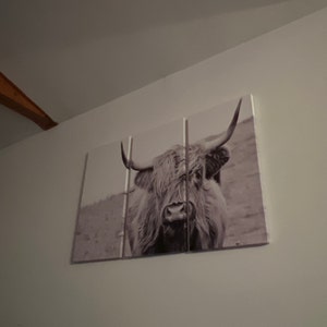 Jamie hat ein Foto des gekauften Artikels hinzugefügt