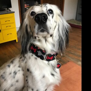 Lena a ajouté une photo de son achat