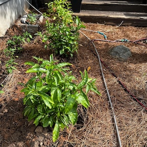 jeff added a photo of their purchase