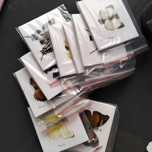 Silvia added a photo of their purchase
