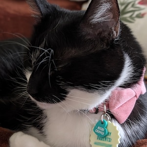 Audrey added a photo of their purchase