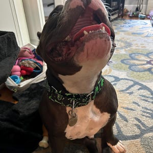 Audrey added a photo of their purchase