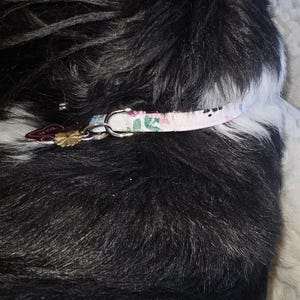 Shelley ha añadido una foto de su compra