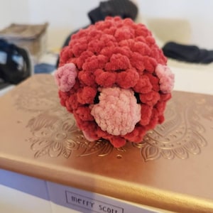 Amaryllis hat ein Foto des gekauften Artikels hinzugefügt