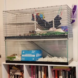 20 gallon long hamster tank topper sales