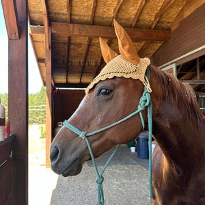 Jocelyn added a photo of their purchase