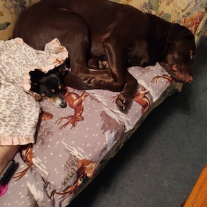 Dorothy added a photo of their purchase