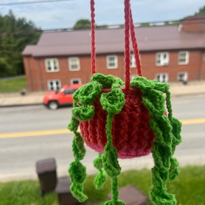 Hannah added a photo of their purchase