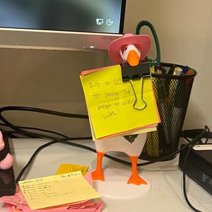 Lyndsey added a photo of their purchase