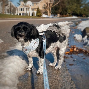 Katerina hat ein Foto des gekauften Artikels hinzugefügt