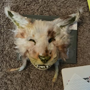 Ashton added a photo of their purchase