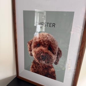 Carly added a photo of their purchase