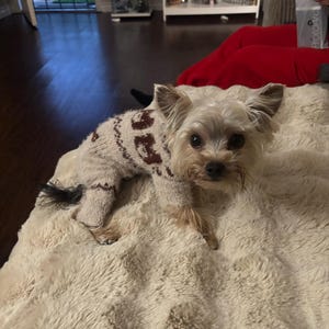 Ashley added a photo of their purchase