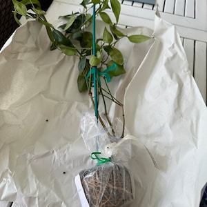 Shari added a photo of their purchase