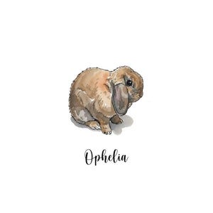 Katherine added a photo of their purchase