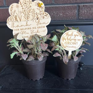Cass added a photo of their purchase