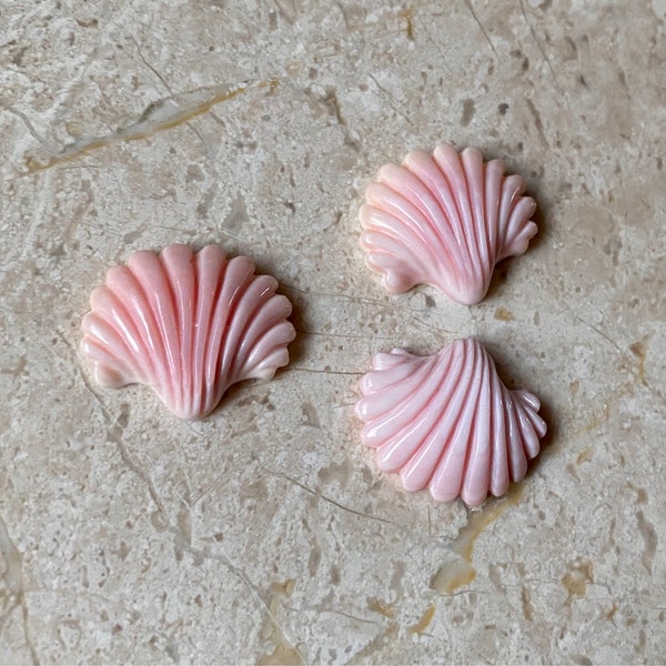 Pink Queen Conch Clamshell Clam Shell Cabochon 18x20 Mm or 14x15 Mm One ...