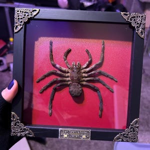 Gaby added a photo of their purchase