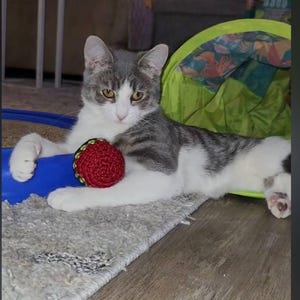 Susie added a photo of their purchase