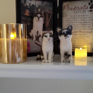 Cathy added a photo of their purchase