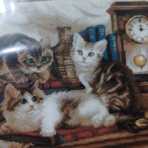 beatriz ha aggiunto una foto del proprio acquisto