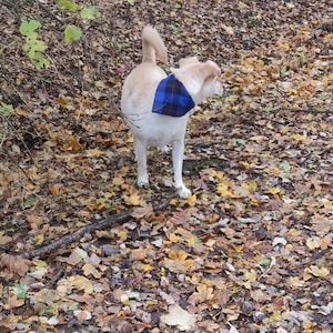 hebridean heather tartan tie